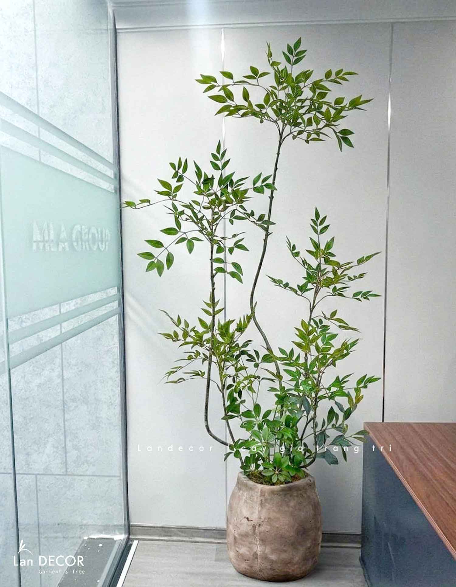 Nam Thiên Trúc Decor- Cây Nam Thiên Trúc Giả Trang Trí Nhà Đẹp (150cm)- LC3047-4 thân
