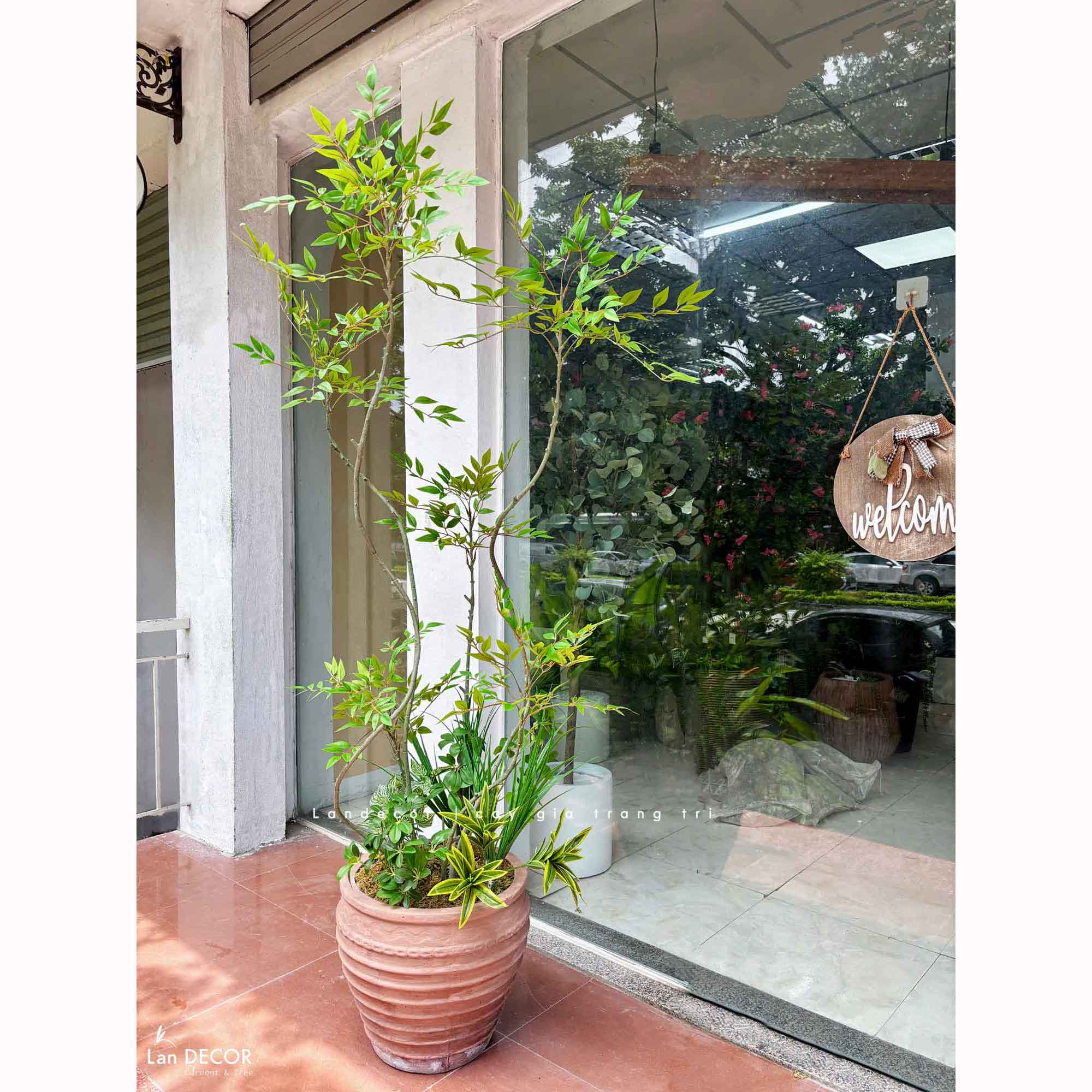 Nam Thiên Trúc Decor- Cây Nam Thiên Trúc Giả 6 Nhánh Decor Nội Thất Hiện Đại (210cm)- LC3047-6