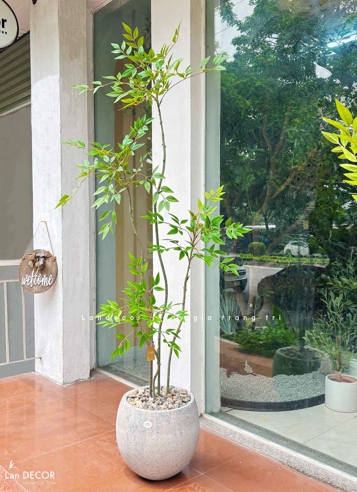 Nam Thiên Trúc Decor- Cây Nam Thiên Trúc Giả Trang Trí Nhà Đẹp (150cm)- LC3047-4 thân
