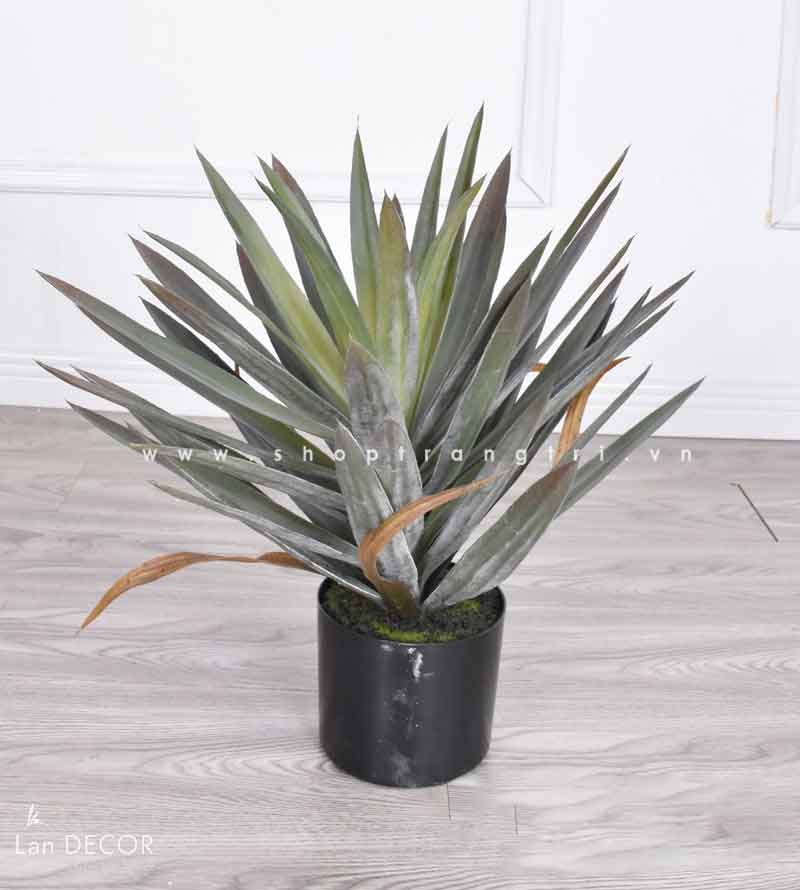 Cây Yucca trang trí Lan decor - cây giả trang trí 100cm - LC3275