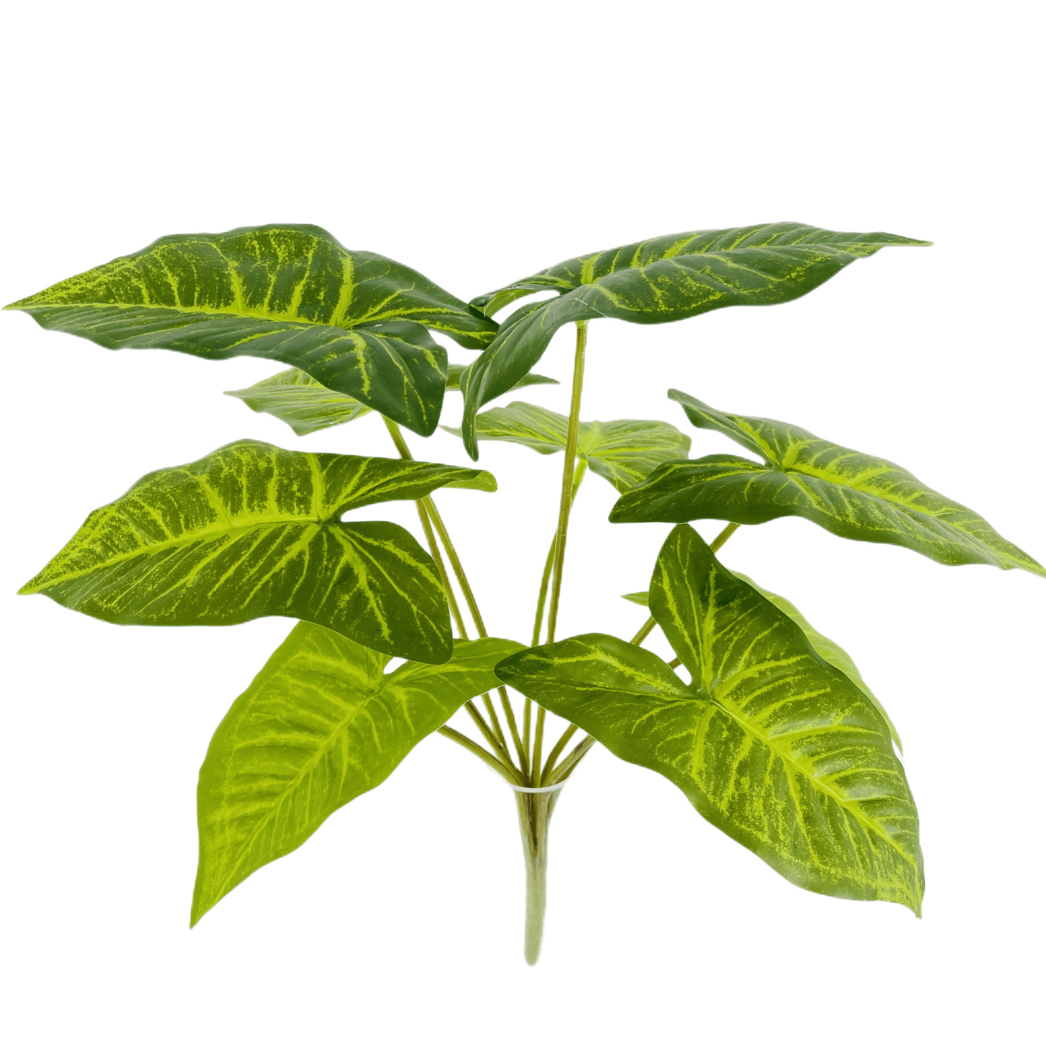 CÂY LÁ MÔN TRANG TRÍ NHÀ ĐẸP (40cm) - LC3258