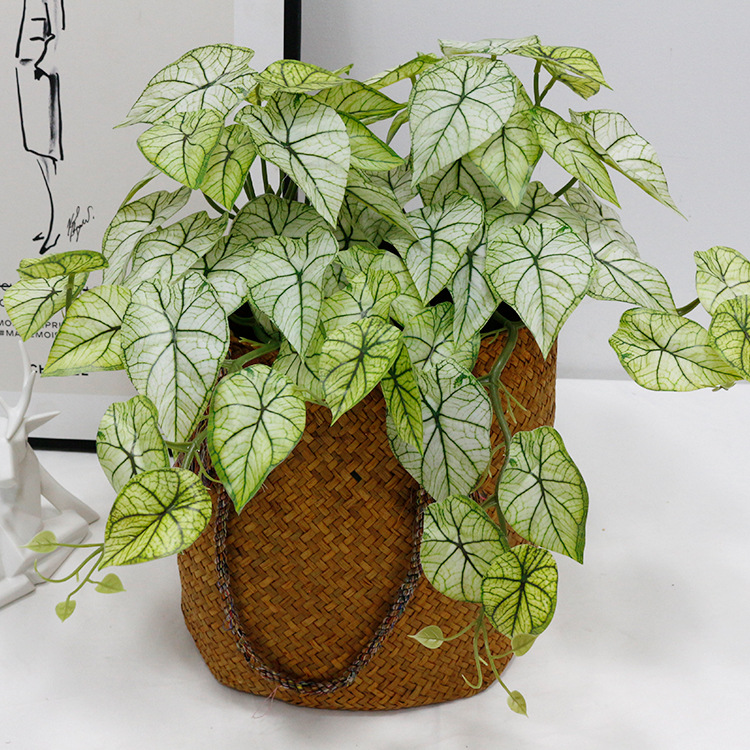 Cành Lá Dưa Hấu Trang Trí Tiểu Cảnh (15cm)- HC1196