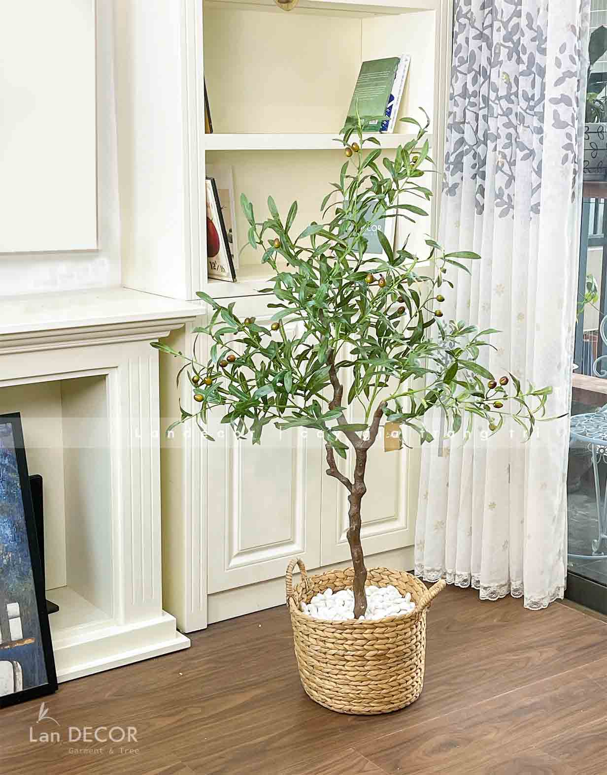 CÂY OLIU DECOR NỘI THẤT BỀN ĐẸP- CC702