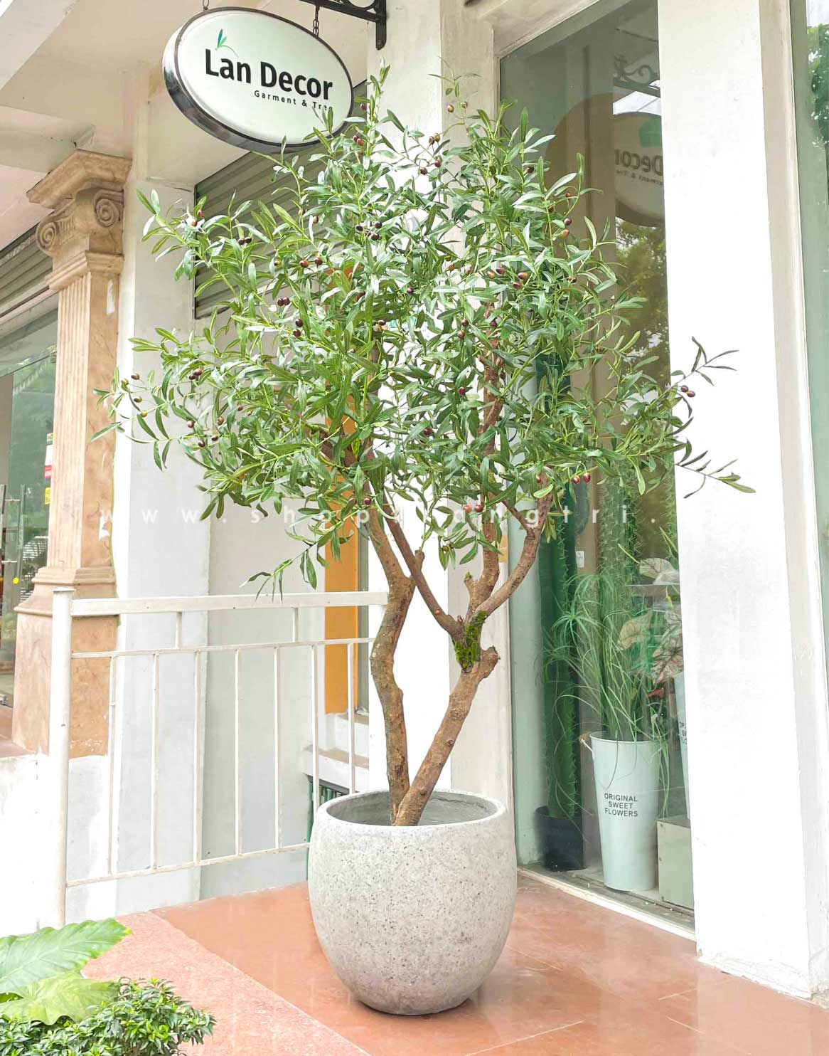 Cây Oliu trang trí nội thất LanDecor (200cm) - CC615-1