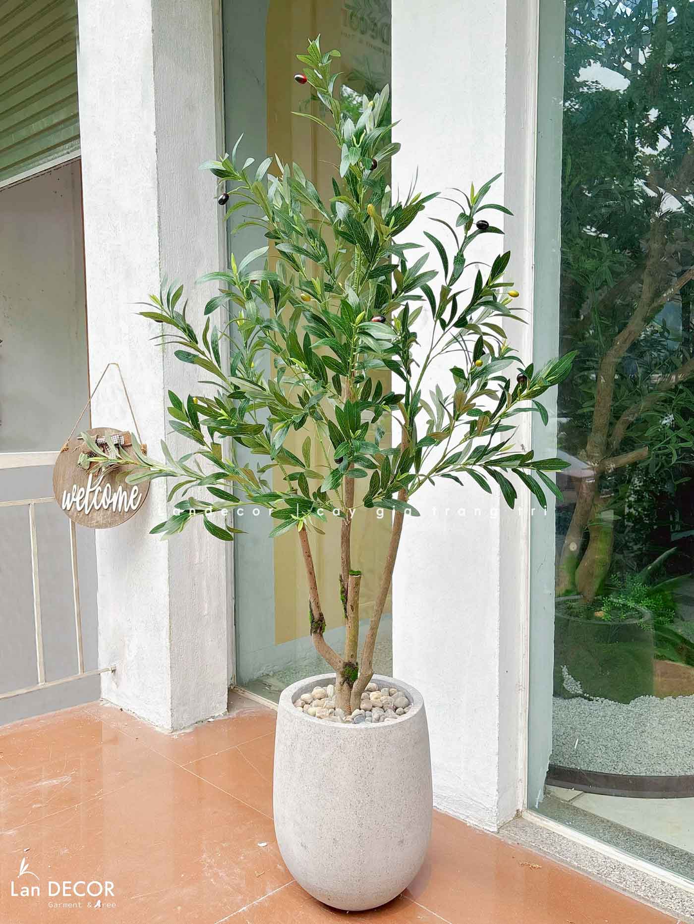 Cây Giả- Cây Olive Giả Decor Văn Phòng, Thiết Kế Tiểu Cảnh Hiện Đại (140cm)- CC1292