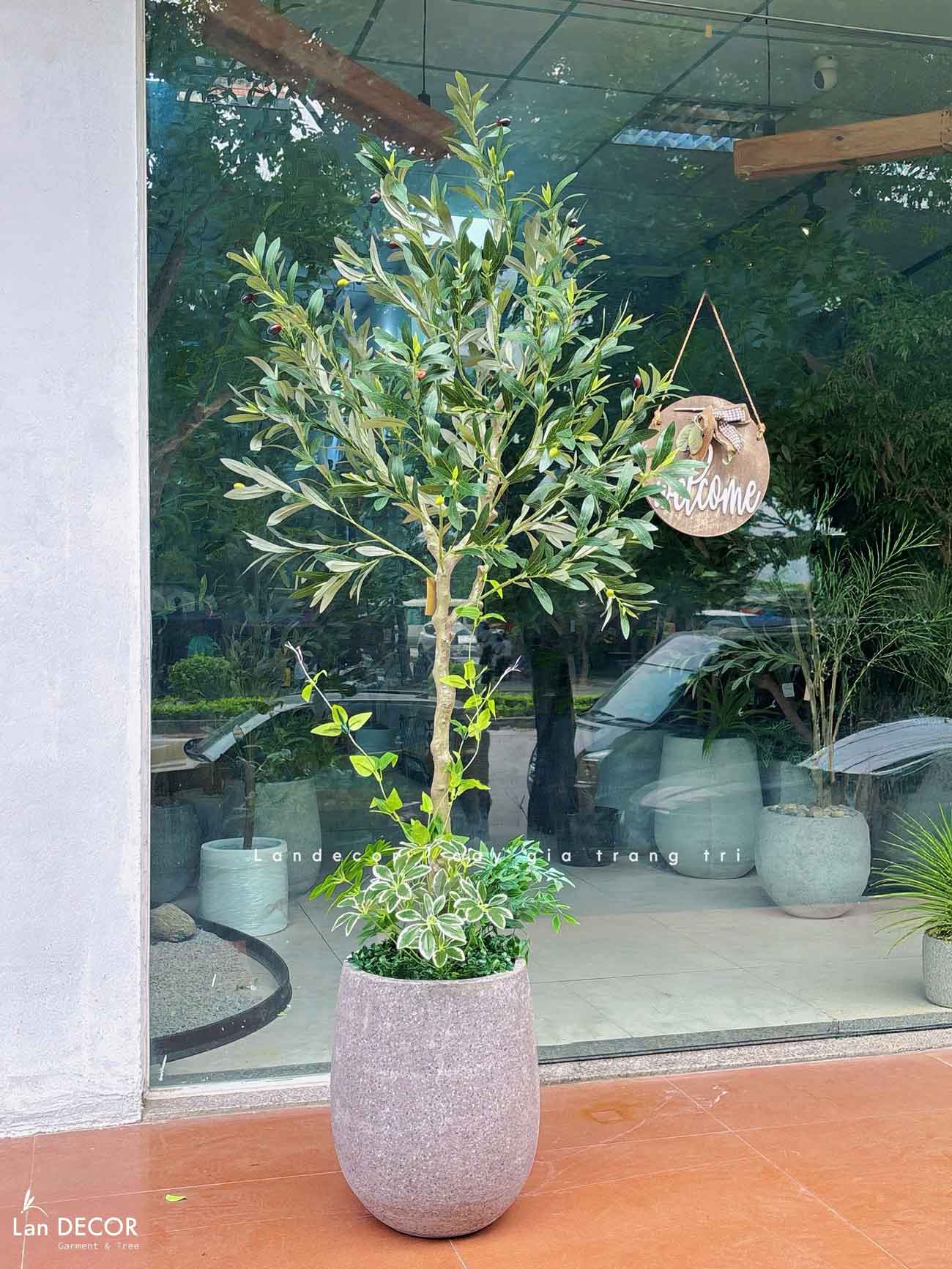 Cây Giả Decor- Cây Olive Giả Đẹp Tự Nhiên, Thiết Kế Nội Thất Phong Cách Bắc Âu (160cm)- CC1299
