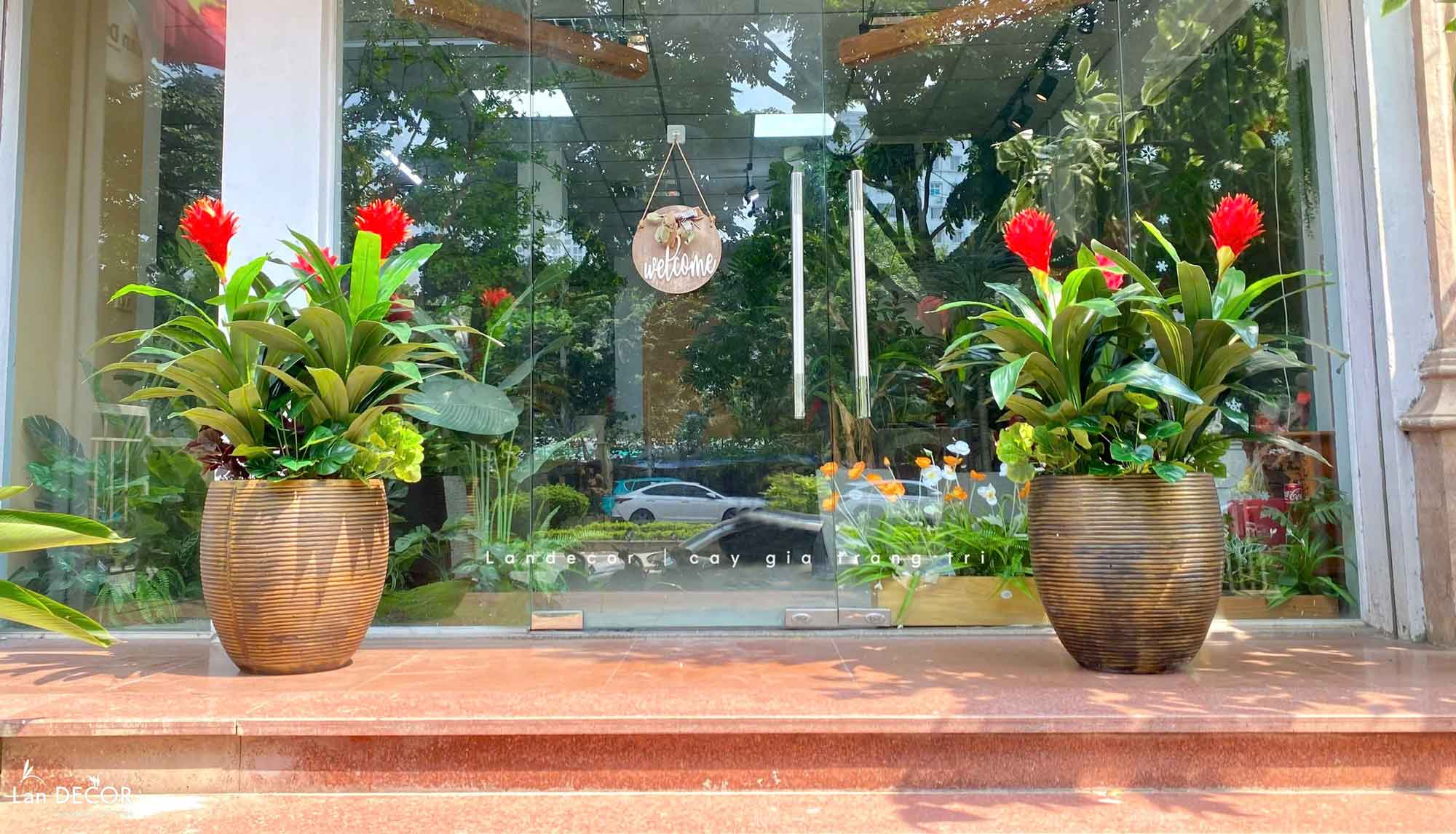 Cây Giả Decor- Cây Phát Lộc Hoa Đỏ Trang Trí Không Gian Sống Động (cao 120cm, tán 65cm)- CC1132