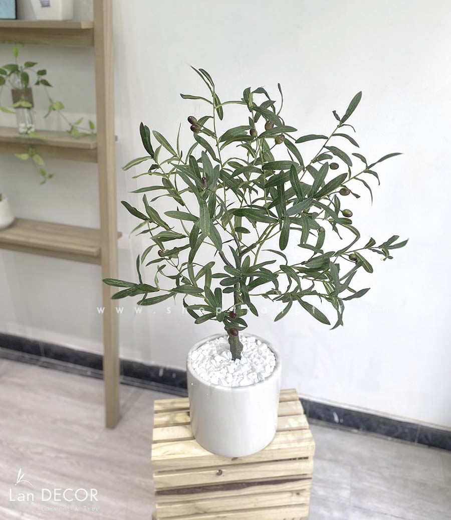 CÂY OLIU GIẢ TRANG TRÍ NHÀ HIỆN ĐẠI (85cm) - LC3043