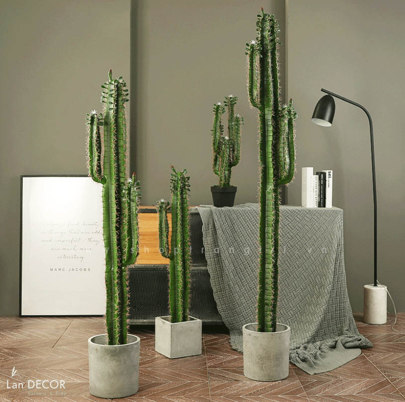 Cây xương rồng trụ sa mạc trang trí  loại 2 tay (155cm) - LC2912