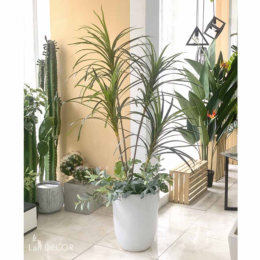 Cây Giả Decor - Cây Phất Dụ Tiểu Cảnh Trang Trí (150cm) - LC2902-3 MIX