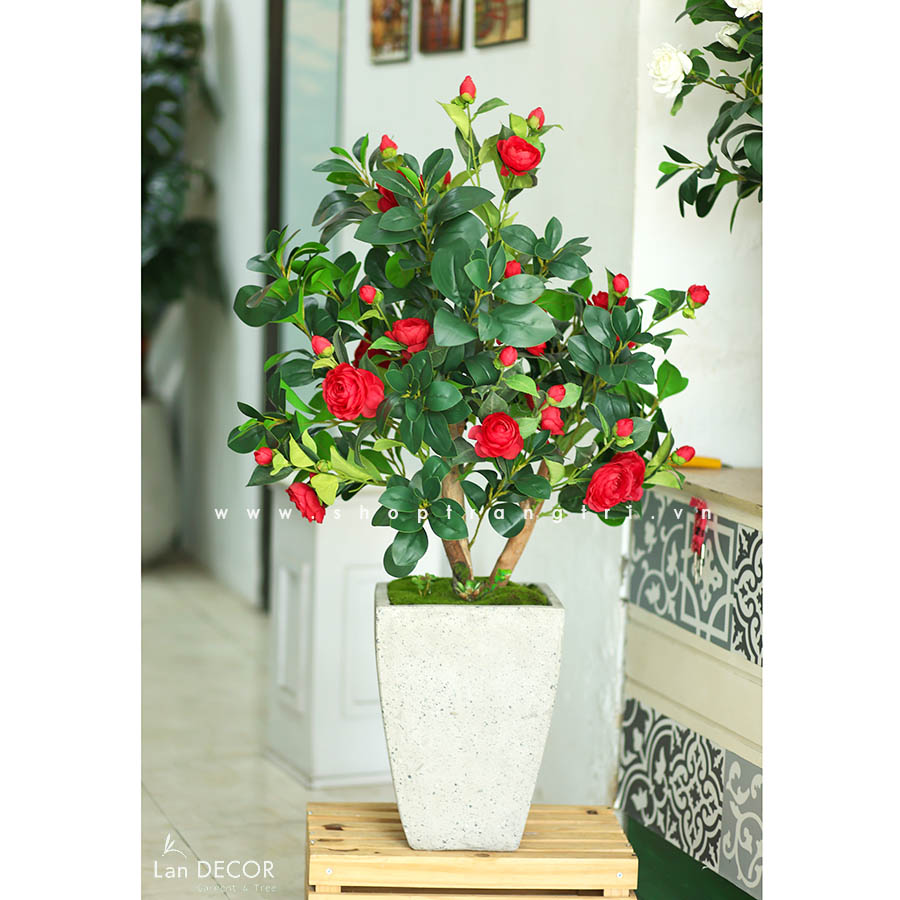 Chậu cây hoa trà đỏ trang trí nội thất Lan Decor (120cm) - CC559