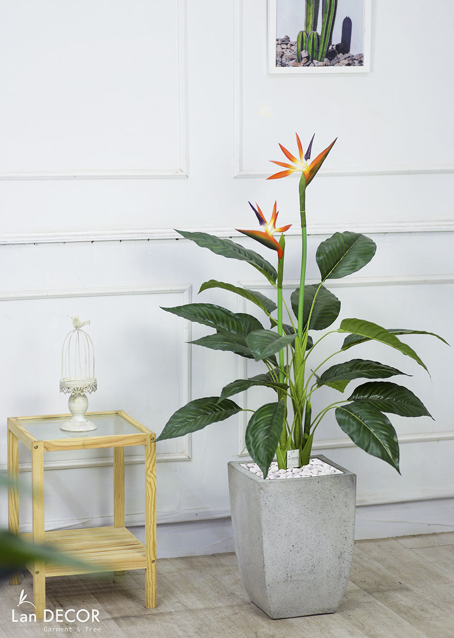 CÂY THIÊN ĐIỂU CÂY HOA THIÊN ĐƯỜNG TRANG TRÍ (100cm) - LC2947