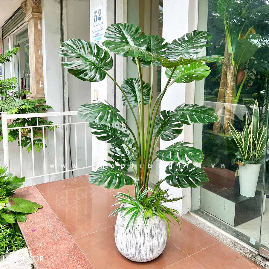 Chậu cây Monstera trang trí tiểu cảnh Landecor (150cm) - LC3058-4 ...