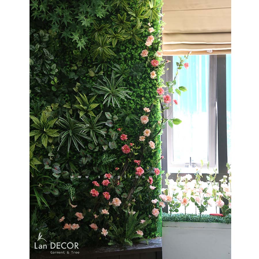 Mẫu cây leo, giàn cây leo, thả trần trang trí tường, đẹp tự nhiên