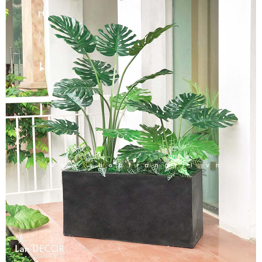 Bồn Cây lá xẻ cây monstera trang trí không gian hiện đại (120cm) - BC082