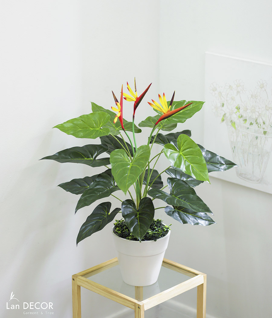 Cây thiên điểu phong cách nhiệt đới Lan Decor 75cm - LC2247