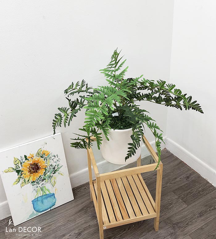 Cây dương xỉ cây cảnh trang trí nhà đẹp (50cm) - LC353-1