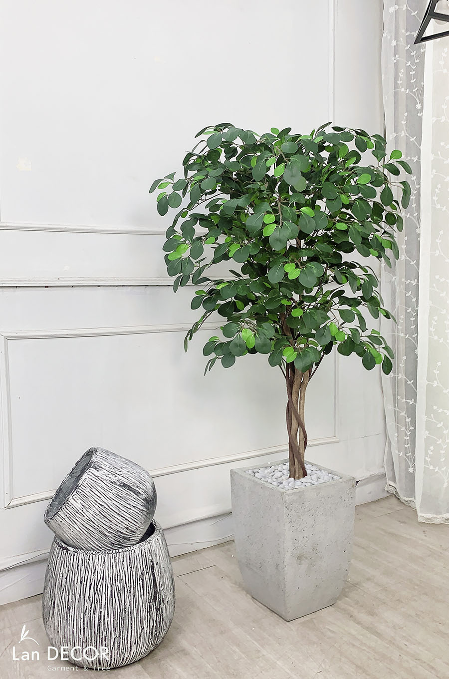 Cây tâm phúc trang trí nhà đẹp Lan Decor (125cm) - LC2240