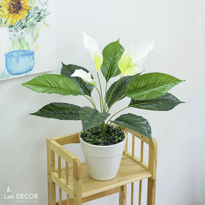 Cây Lan Ý để bàn trang trí nhà sang trọng (55cm) - LC2925-1