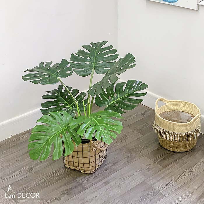 Cây lá xẻ  hiện đại trang trí nhà (65cm) - LC3022