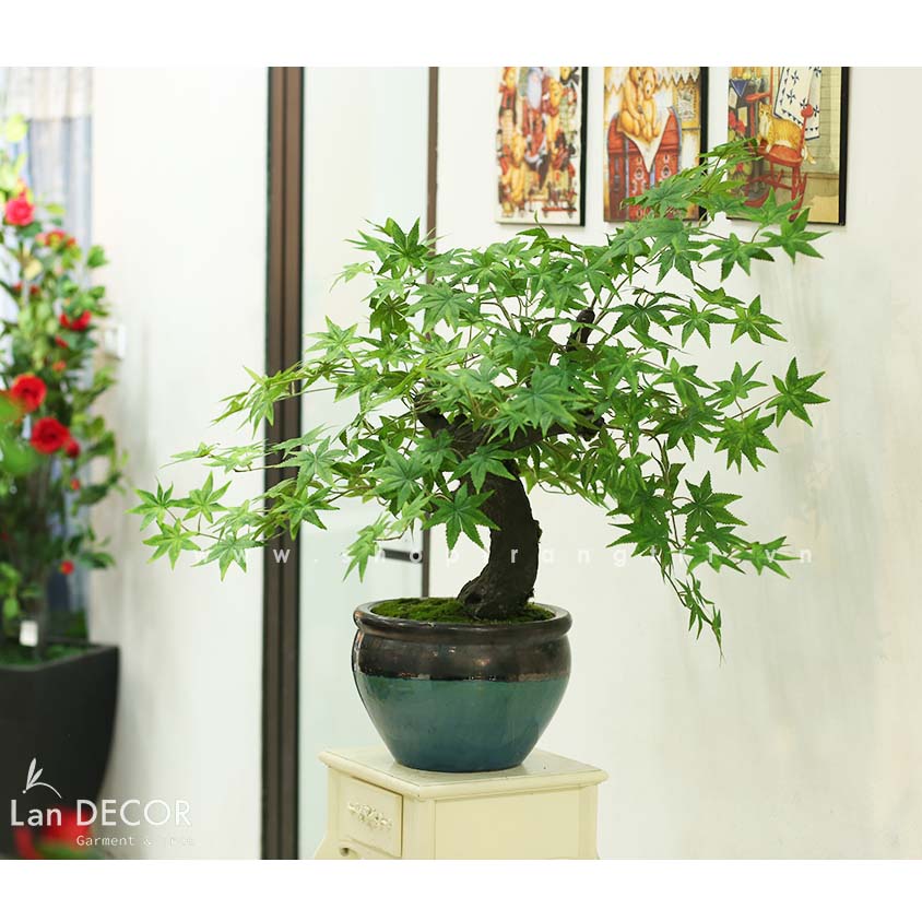 CÂY PHONG BONSAI TRANG TRÍ LANDECOR (95cm) - CC517