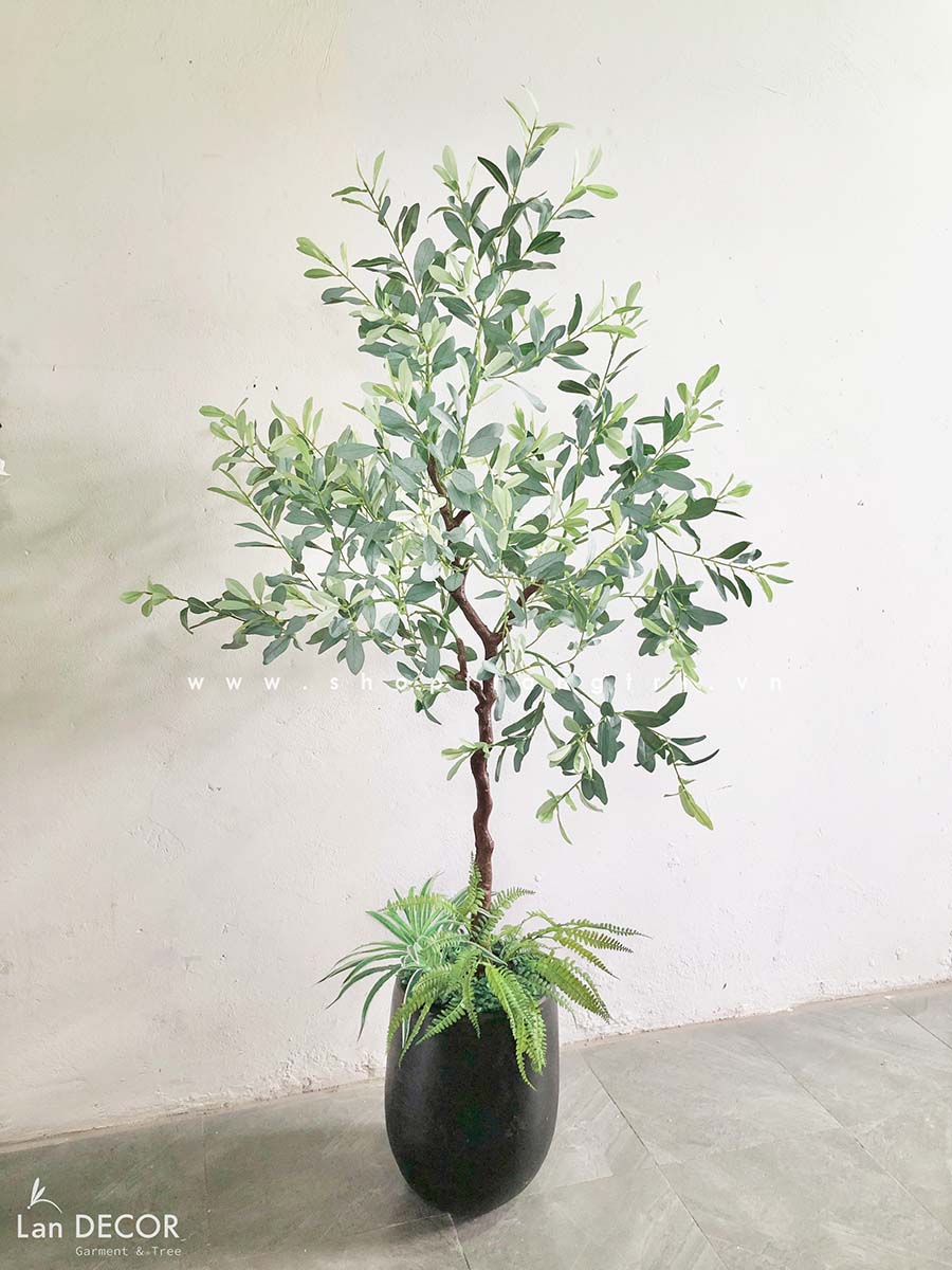 CHẬU CÂY CÀ PHÊ TIỂU CẢNH PHONG CÁCH BẮC ÂU TRANG TRÍ (170cm) - CC417 MIX