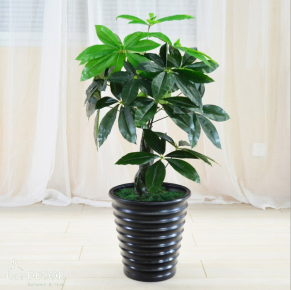 Cây Kim Ngân trang trí không gian hiện đại (85cm) - LC1989