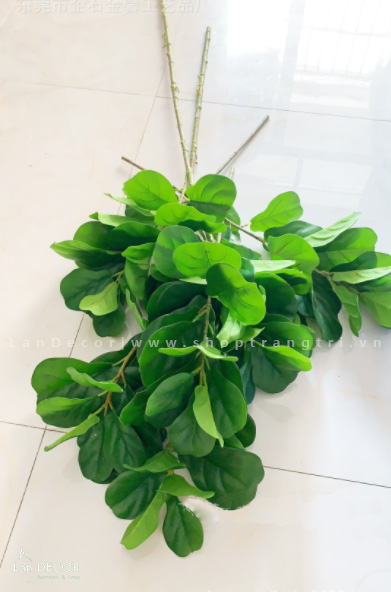 HC946 - Cành bàng Singapore 64cm