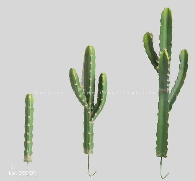 Xương Rồng Giả- Xương Rồng Ống Decor Độc Đáo (40CM) - HC980