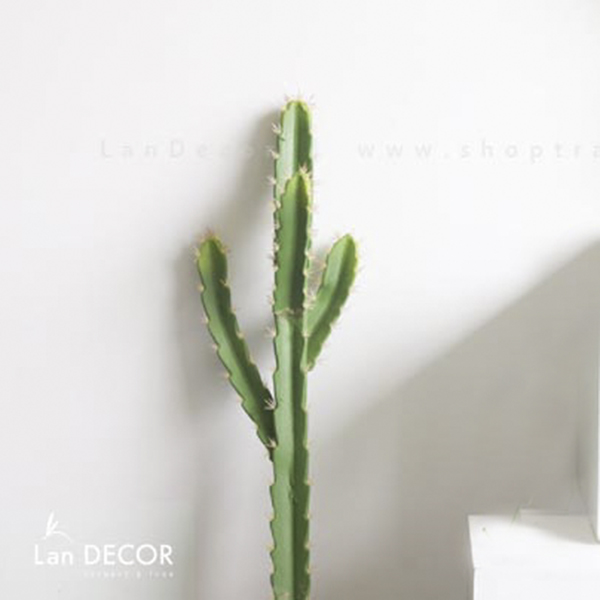 Xương Rồng Giả- Xương Rồng Ống 2 Tay Thiết Kế Tiểu Cảnh (85CM) - HC979