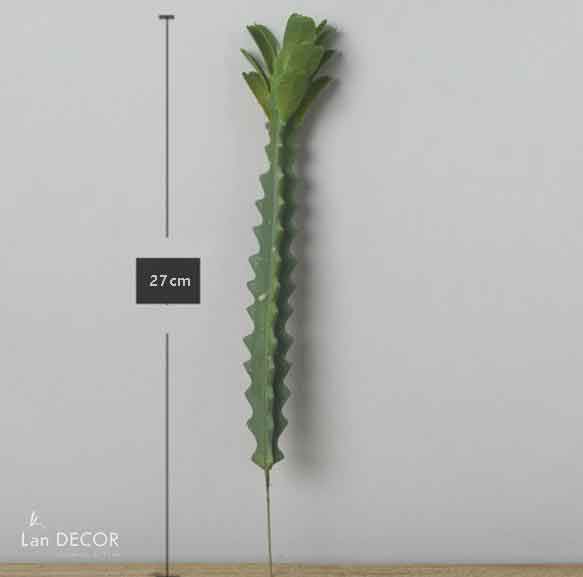 Cây xương rồng Lá trang trí Landecor - HC1048