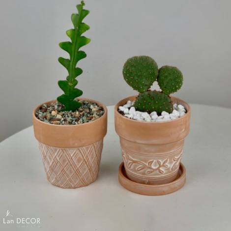 Chậu gốm chạm nổi - BG495