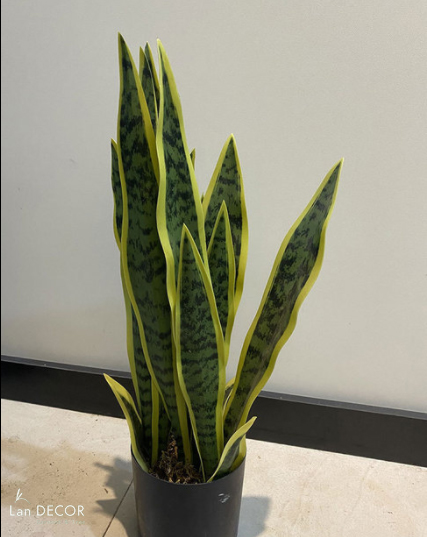 Cành Lá Giả Trang Trí, Cành Lưỡi Hổ Thiết Kế Tiểu cảnh -HC1087