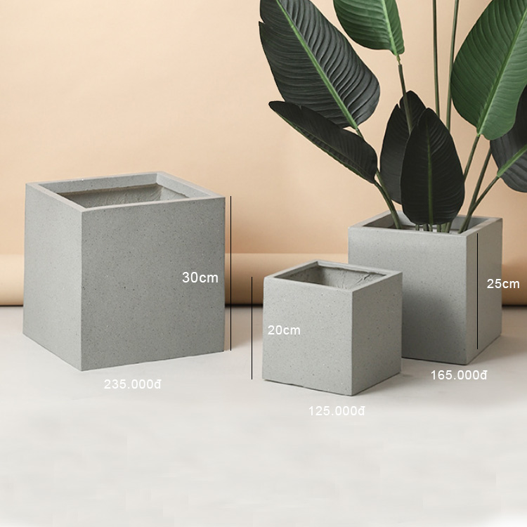 CHẬU XI MĂNG VUÔNG TRỒNG CÂY TRANG TRÍ LAN DECOR