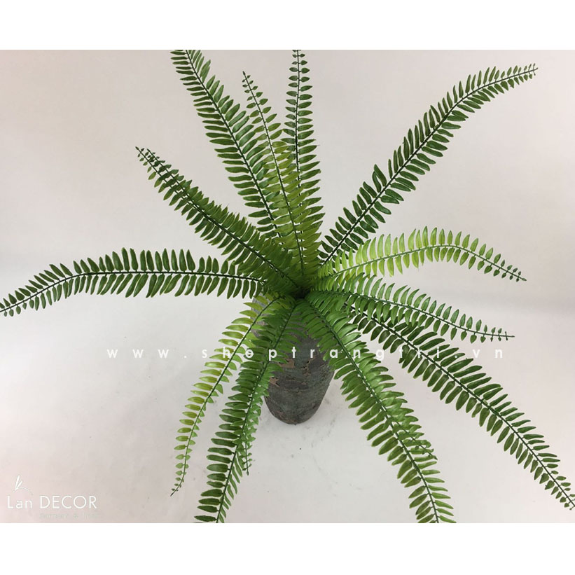 Cành Lá Giả trang Trí, Cành Dương Xỉ Cổ Đại Trang Trí Nội Thất Ấn Tượng (50cm) - HC960