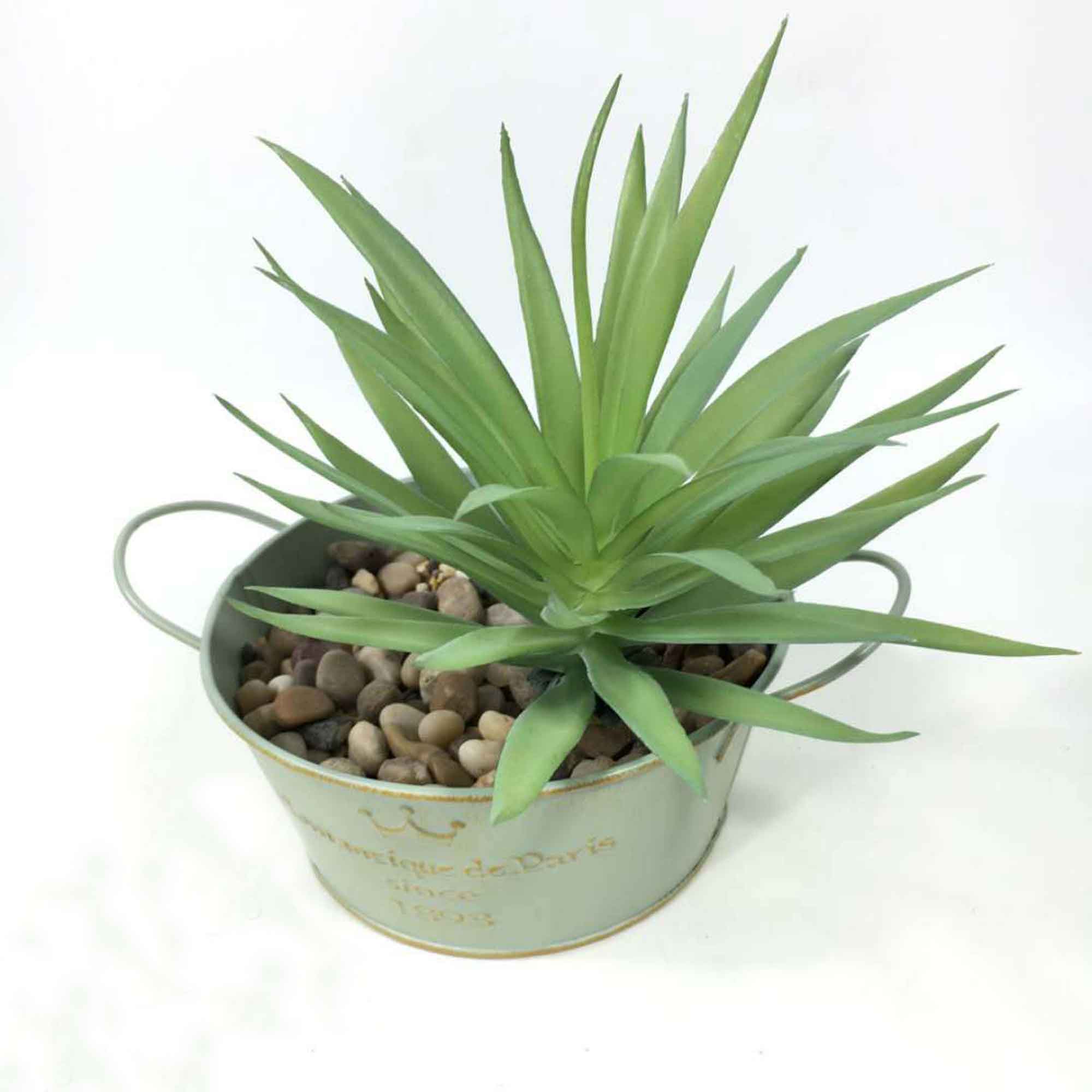 Cành sen  đá decor Trang trí nhà cửa, chậu cây  -   Sen đá 55