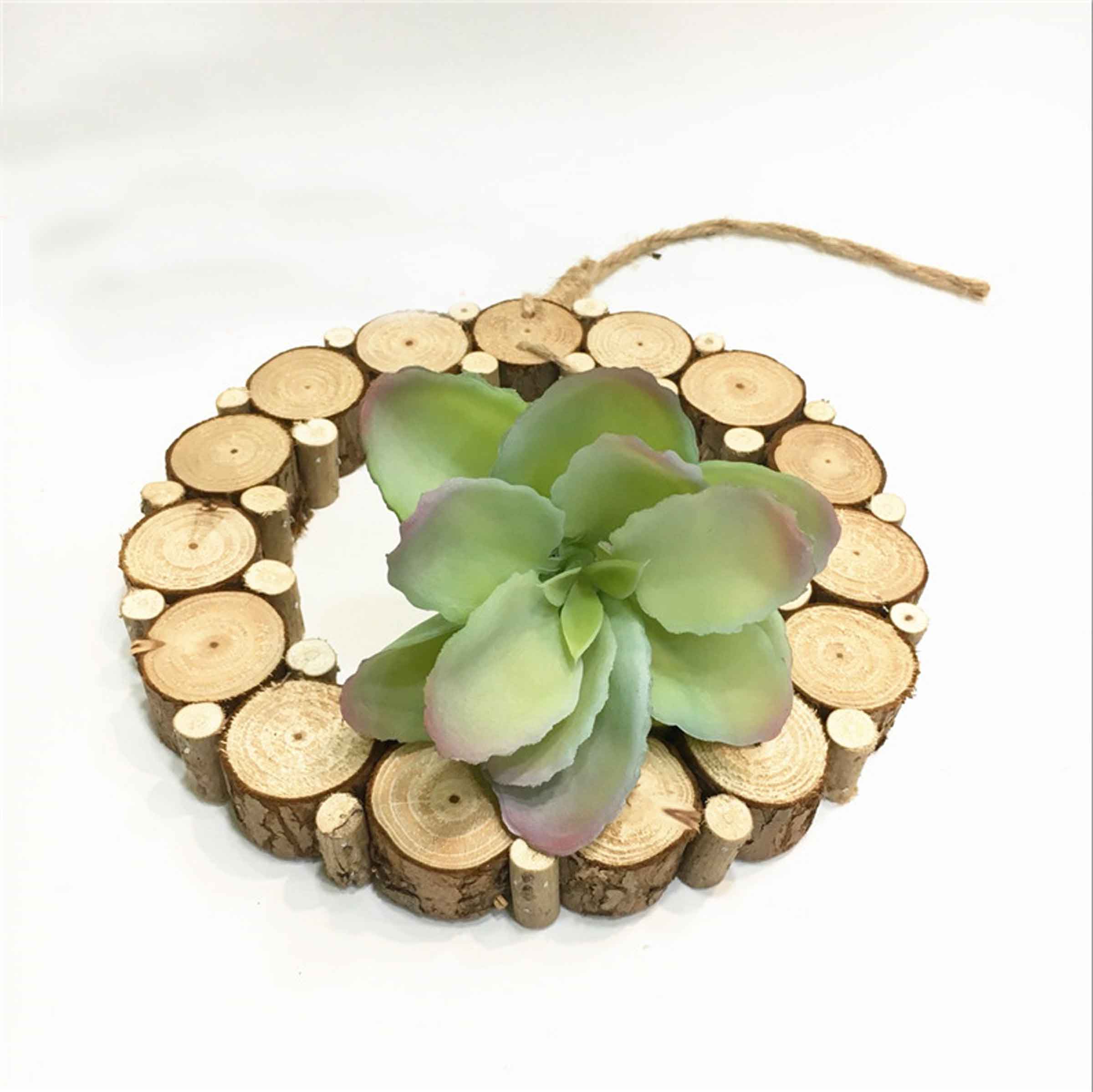 Cành sen  đá decor Trang trí nhà cửa, chậu cây  -   Sen đá 55