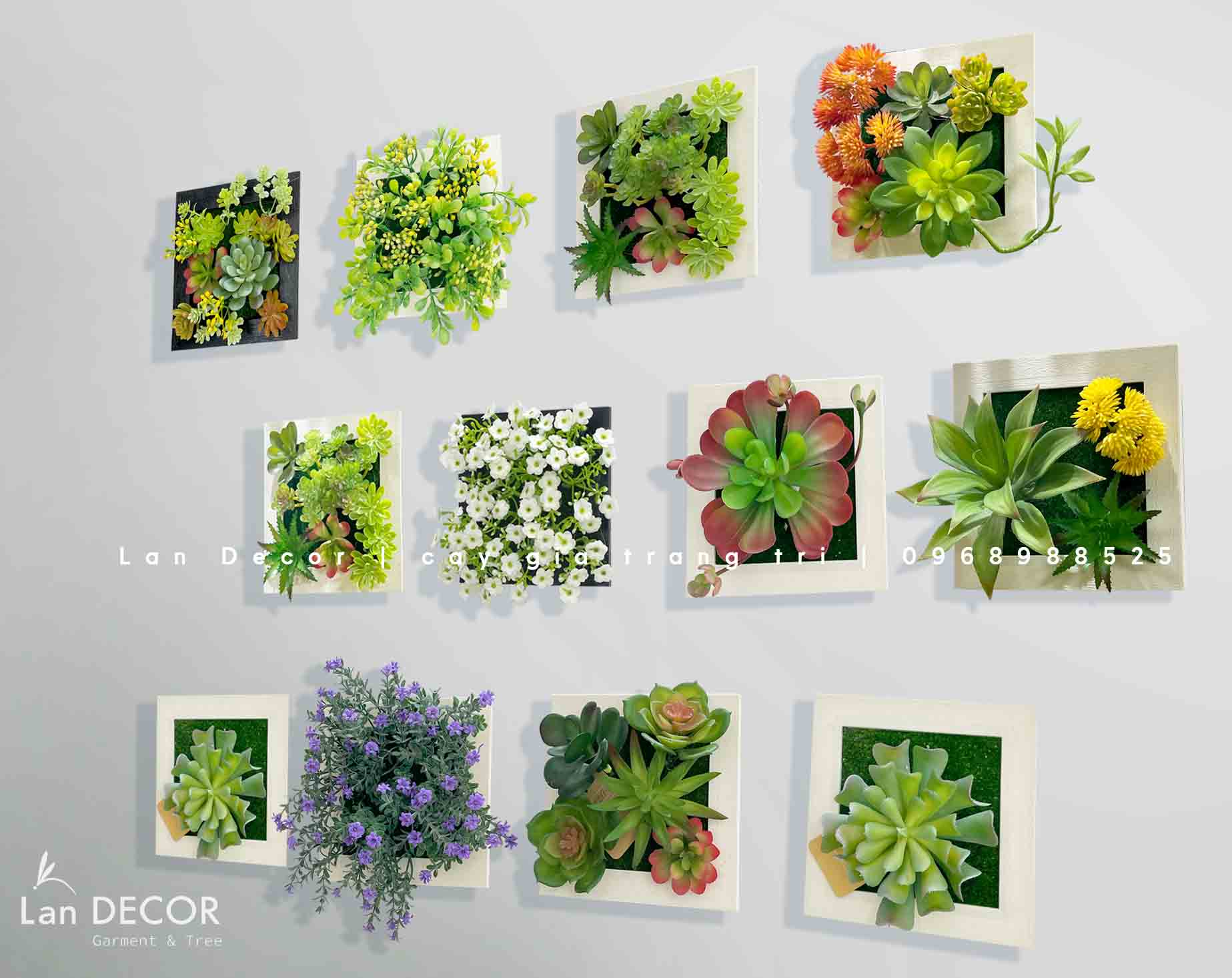 Khung tranh rêu treo tường trang trí nghệ thuật- KTR017