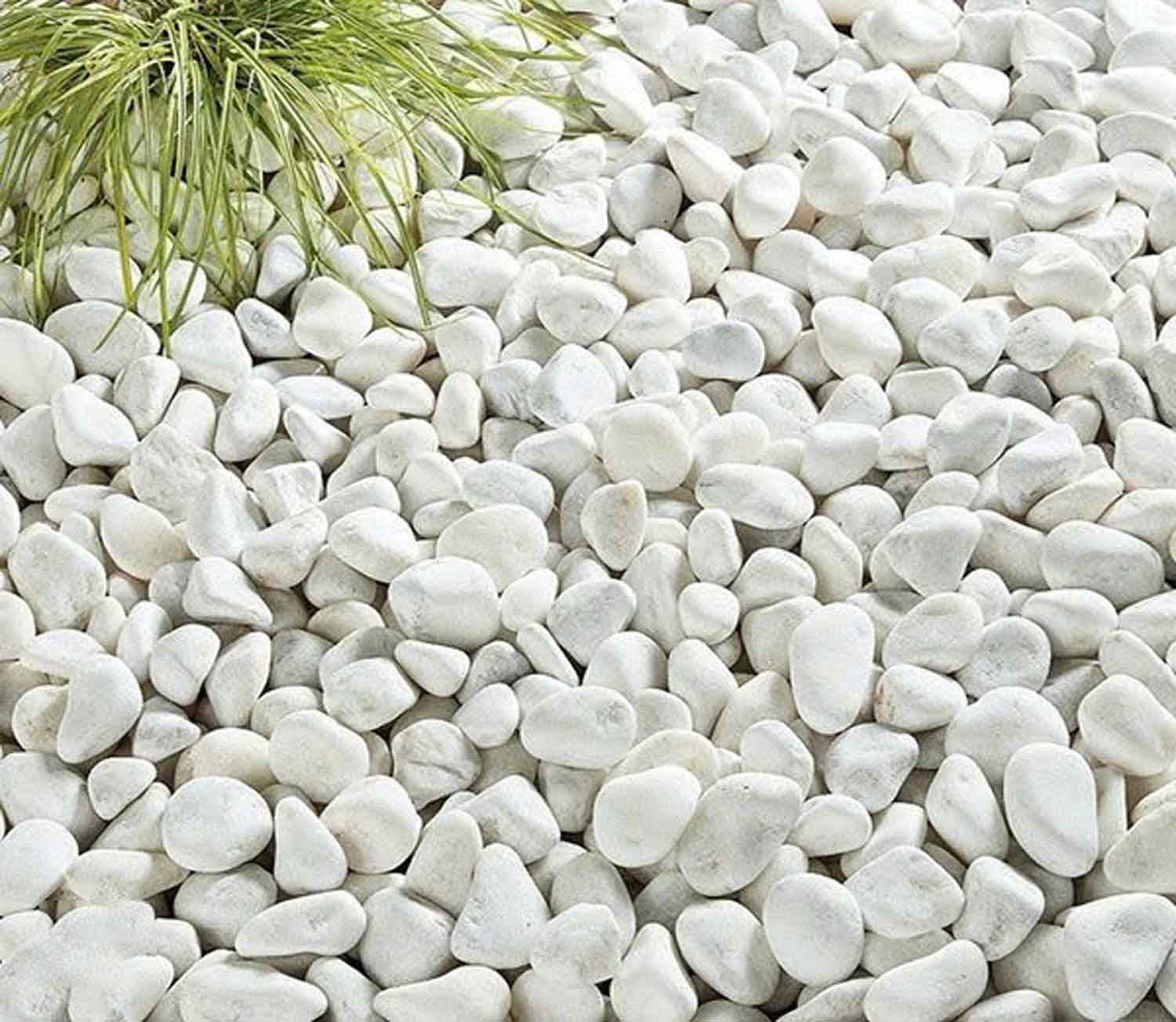 Sỏi Trang Trí Tiểu Cảnh, Rải Mặt Chậu Trang Trí Cây Cảnh