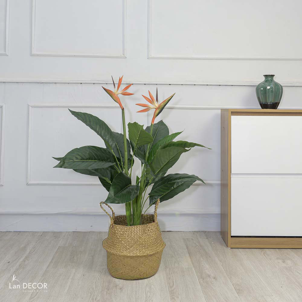 CÂY THIÊN ĐIỂU CÂY HOA THIÊN ĐƯỜNG TRANG TRÍ (100cm) - LC2947