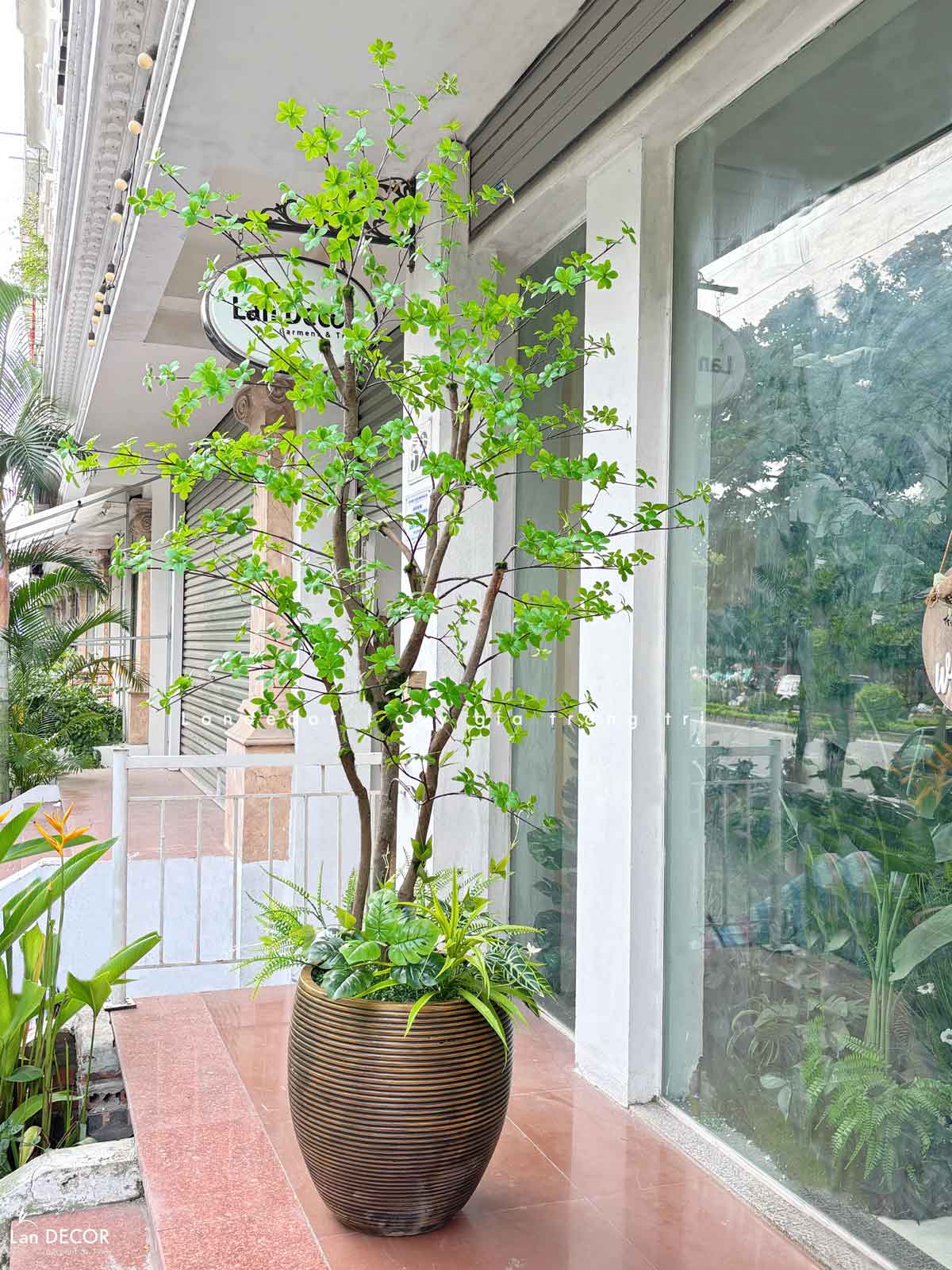 CÂY THẠCH NAM NHẬT BẢN LANDECOR (2M3) - CC665