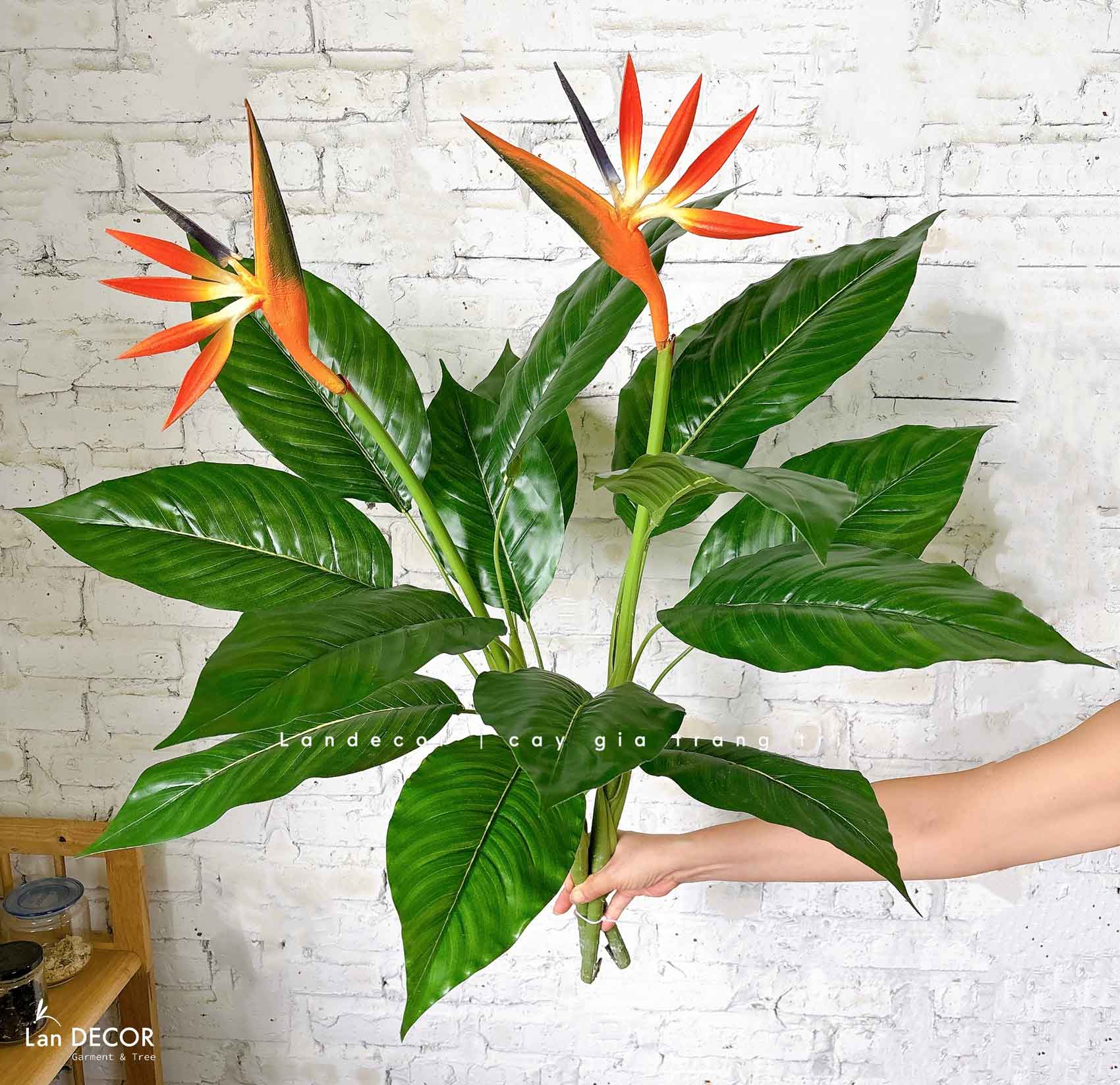 CÂY THIÊN ĐIỂU CÂY HOA THIÊN ĐƯỜNG TRANG TRÍ (100cm) - LC2947