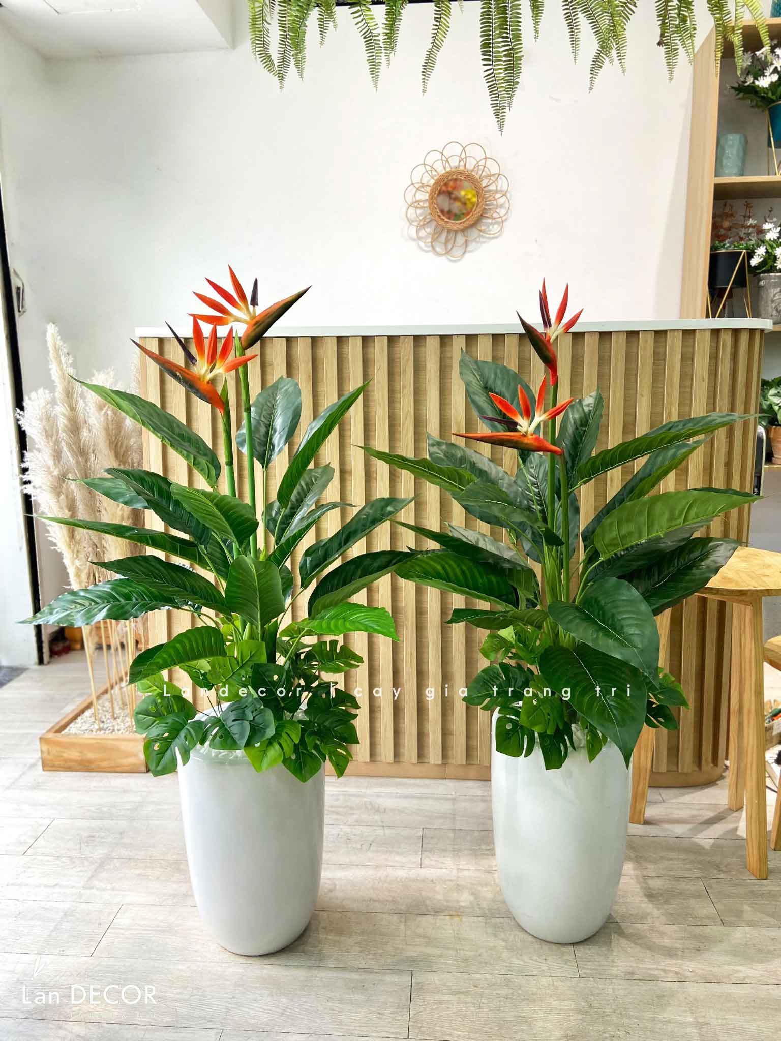 CÂY THIÊN ĐIỂU CÂY HOA THIÊN ĐƯỜNG TRANG TRÍ (100cm) - LC2947