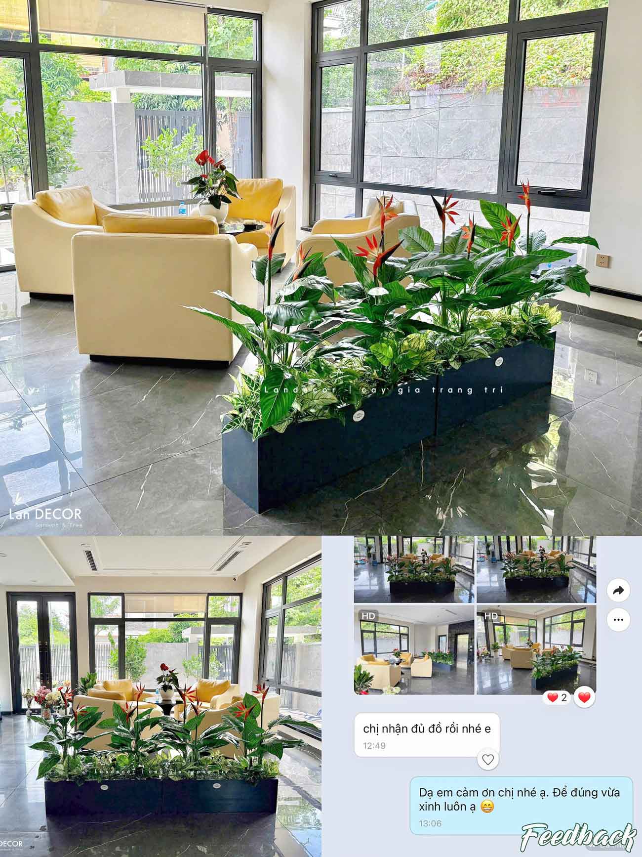 CÂY THIÊN ĐIỂU CÂY HOA THIÊN ĐƯỜNG TRANG TRÍ (100cm) - LC2947