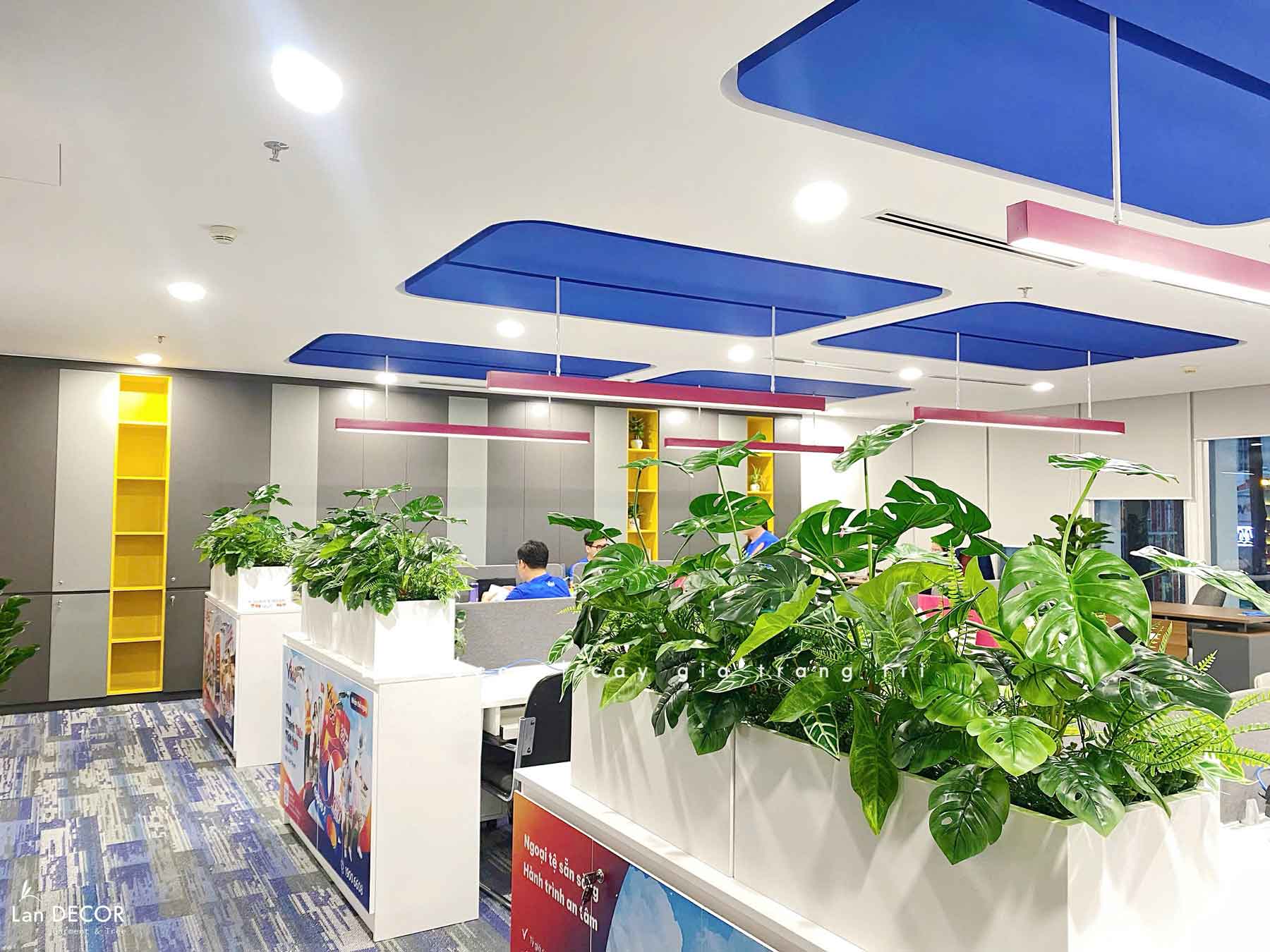 Tiểu Cảnh Văn phòng- Bồn Cành Lá Monstera Thiết Kế Lan Decor, Kiến Tạo Không Gian Xanh Tươi Mới (56x26x20cm)- BC209-SG