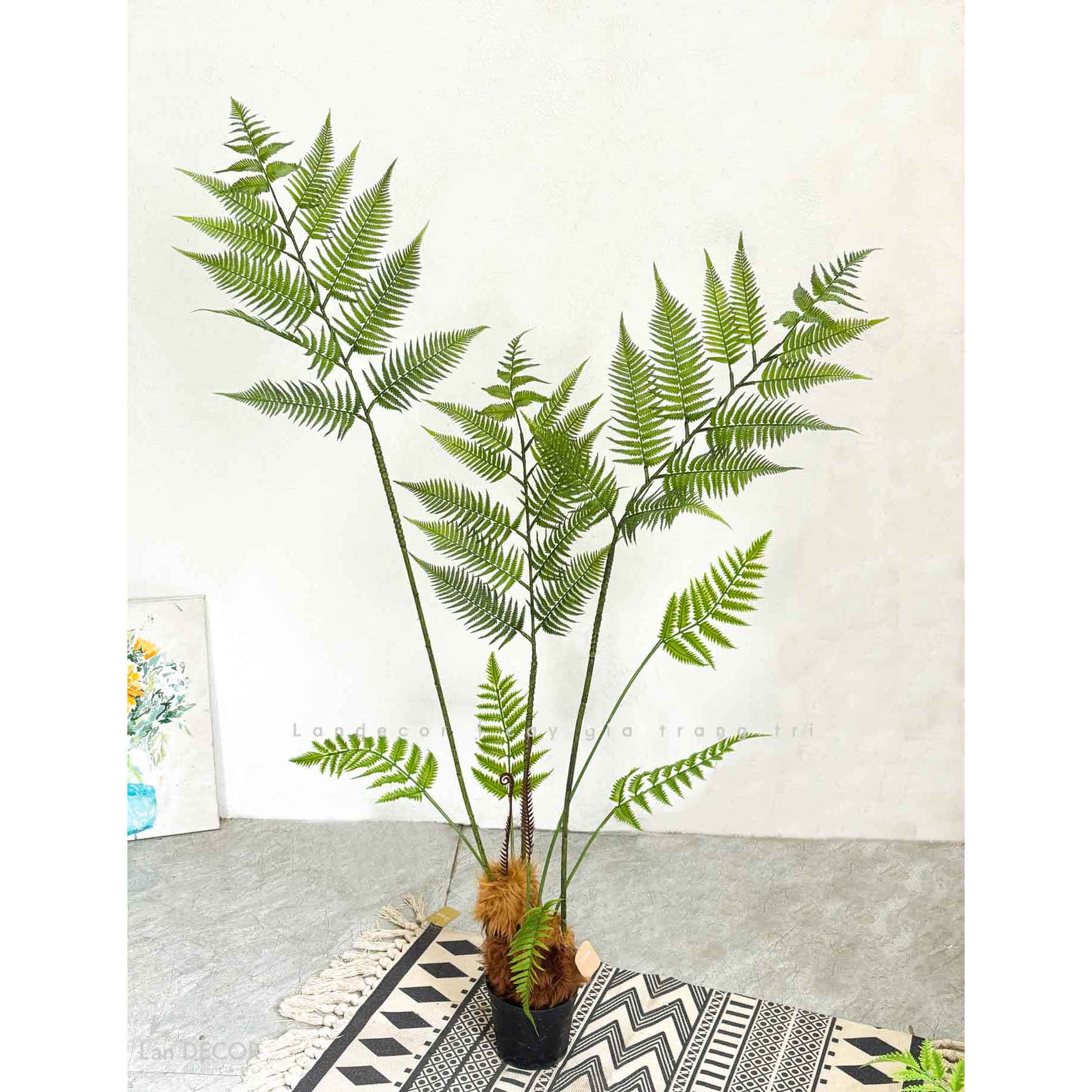 Dương Xỉ Decor- Dương Xỉ Culi Trang Trí Không Gian Đẹp (150cm)- CC1064