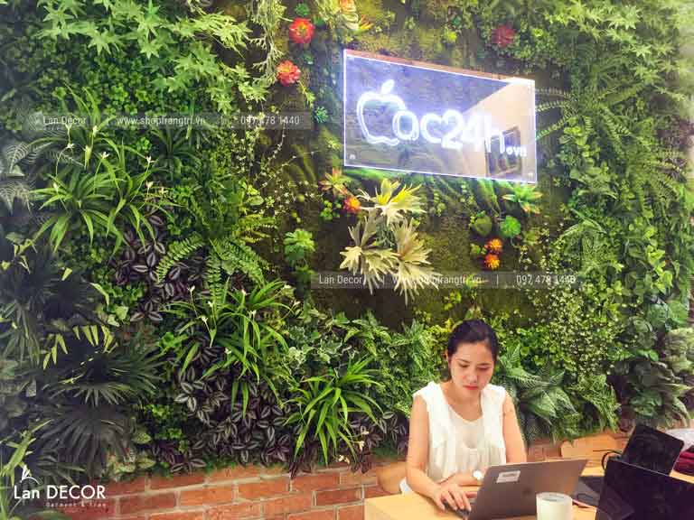 CÔNG TRÌNH TƯỜNG CÂY CỬA HÀNG MAC 24H THÁI HÀ- TC304