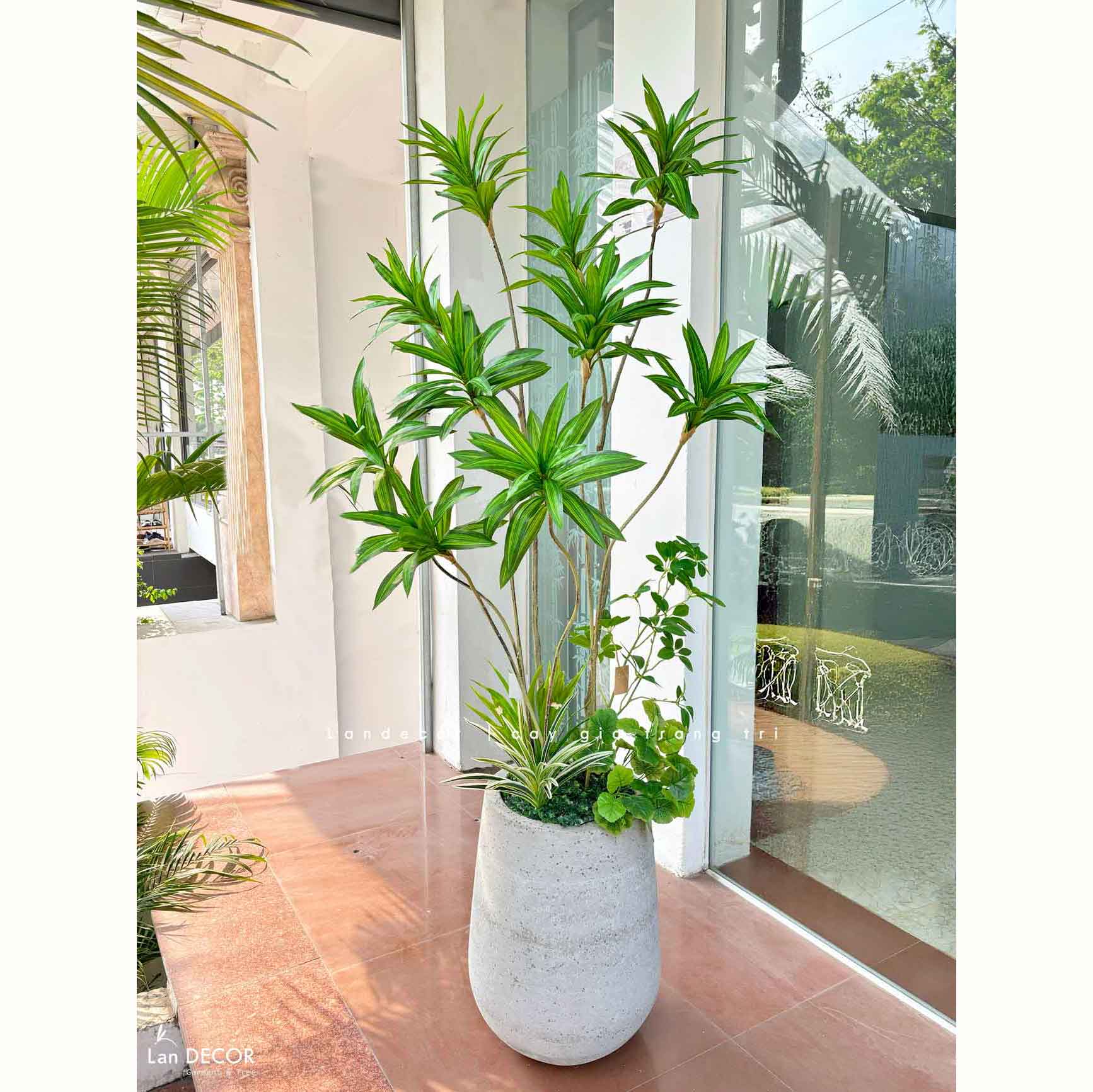 Cây Giả Decor- Cây Thiết Mộc Lan Giả Trang Trí Nội Thất Hiện Đại (160cm)- LC3737-XANH MIX