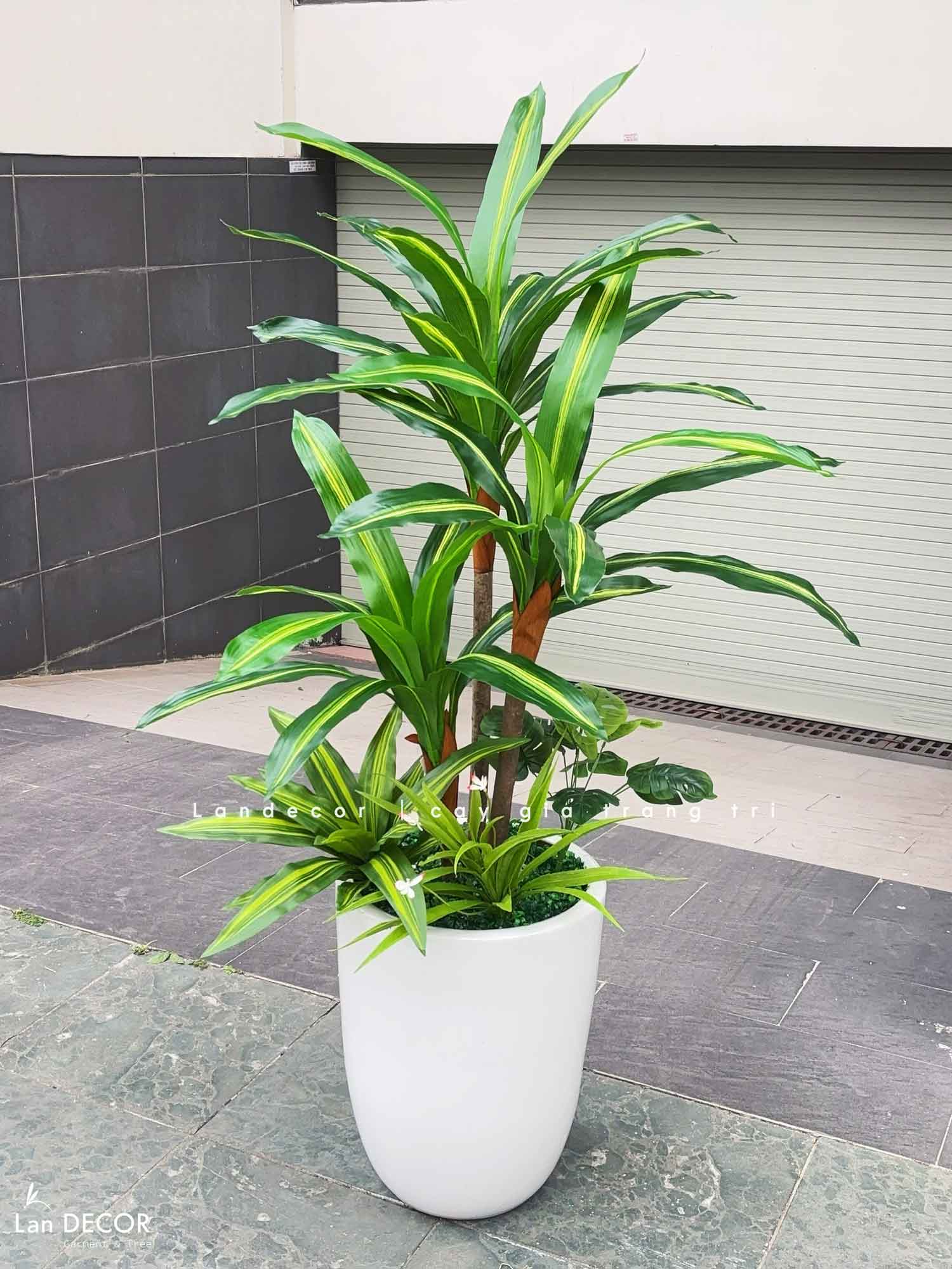 Cây Giả Decor- Cây Thiết Mộc Lan Giả Decor Cửa Hiệu (120cm)- LC2682