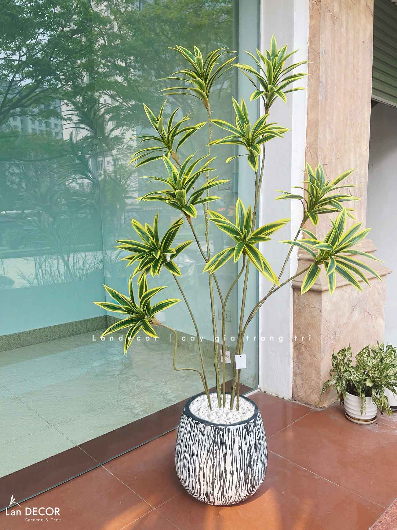 Cây Giả - Cây Thiết Mộc Lan Giả Decor Nội Thất Căn Hộ (160cm)- LC3737-VÀNG MIX